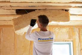 Best Basement Insulation in Webster, FL