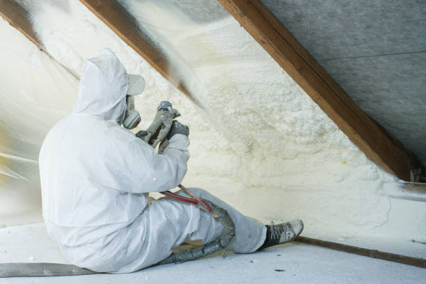 Types of Insulation We Offer in Webster, FL