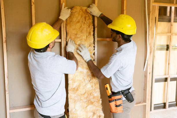 Professional Insulation Removal & Installation in Webster, FL