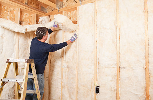 Best Pipe and Duct Insulation in Webster, FL